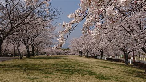 【公園】北勢中央公園